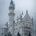 ⚜the Royal Academy⚜ discord icon