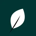White Leaf