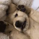 stinkies >:)