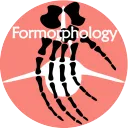 Formorphology's Discord