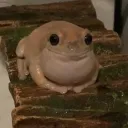 why uwu