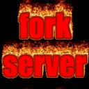 fork server