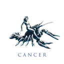 CC SUBSERVER