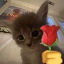 PCS | 8 марта — Діскорд Сервер