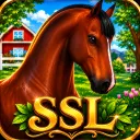 Star Stable Lounge
