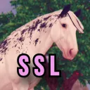 Star Stable Lounge