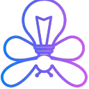 Firefly Education Network