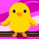 🐤Polita Server🐤