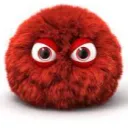 Furball Scholarships
