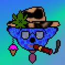 Psychedelic Koala Gang