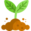 🌱 Recanto de Alcaçuz 🌱