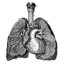 Nervous System Mastery