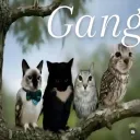 Termed  Discord Server Icon