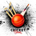 Cricket Protocol