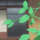 willow's tree