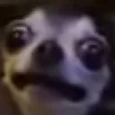 Oh god no