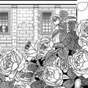 Rose Garden