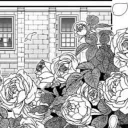 Rose Garden