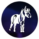 Galactic Pony League
