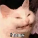Furry RP