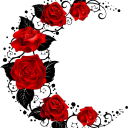 ð‘­ð’Šð’ð’…ð’ð’Ž ð‘¹ð’ð’”ð’† ð‘®ð’‚ð’“ð’…ð’†ð’ðŸ–¤ Server Icon