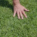 Touch No Grass