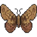 🦋・Crypto Moth・🦋
