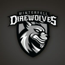 Winterfell Server Icon
