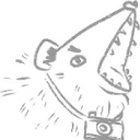 Fiorda's stream meme