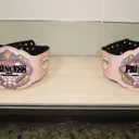 Tokyo Joshi Fans