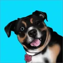 Dang Dogs