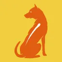 Phu Quoc Dog