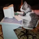 HUGO_BOX | Discord