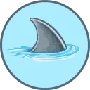 Crypto Shark