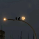 The Comfort Cafe Discord server icon