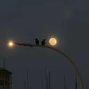 The Comfort Cafe Discord Server Icon