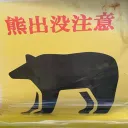 野生動物研究所