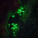 ðŸƒ ð™¶ðš›ðšŽðšŽðš— ð™¸ðšœðš•ðšŠðš—ðš ðŸŒ¿ Server Icon