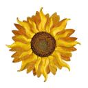  ゙.   ..VALLEY OF THE SUN! Discord Server Icon