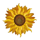 ゛﹒ ︰𝙑𝘼𝙇𝙇𝙀𝙔 𝙊𝙁 𝙏𝙃𝙀 �... Discord Server Icon