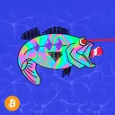 The Ecosystem