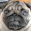 Eddie's Discord