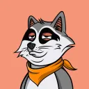 Trash Panda Society