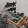 kana's raccoon hut