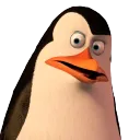 Kowalski 1.0's icon