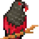 CardanoBirbs
