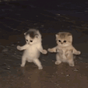 friends ♡ chill | emotes archive
