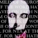 NIGGER LAND