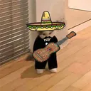 skrackerhq
