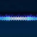 Blue Light Software